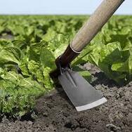 Soil Tools